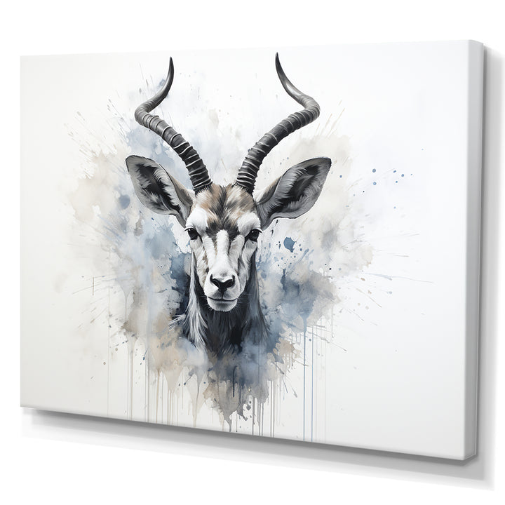 Minimalism Black And White Antelope Ibex - Antelope Wall Decor