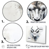 Minimalism Black And White Antelope Ibex - Antelope Wall Decor
