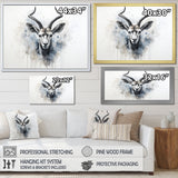 Minimalism Black And White Antelope Ibex - Antelope Wall Decor