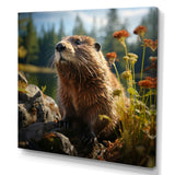Depicting A Beaver In The Woods - Beaver Home Decor Art