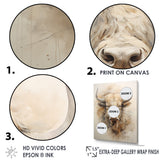 Buffalo Bison Head - Buffalo Wall Decor