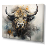 Buffalo Bison Head I - Animals Canvas Wall Art