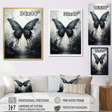 Butterfly Monochrome Metamorphosis - Animals Canvas Wall Art