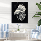 Golden Glint And Graphite A Butterflyfish - Butterfly Fish Wall Decor