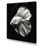 Golden Glint And Graphite A Butterflyfish - Butterfly Fish Wall Decor