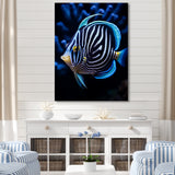 Coral Butterflyfish Indigo Intensity And Ivory - Butterfly Fish Wall Art Prints