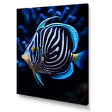 Coral Butterflyfish Indigo Intensity And Ivory - Butterfly Fish Wall Art Prints