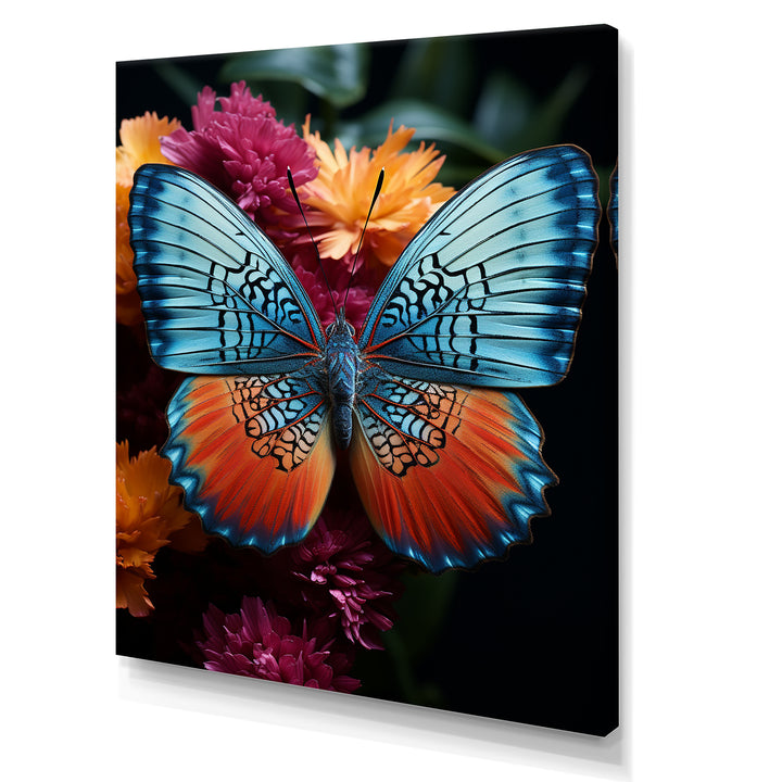 Butterfly Pearl Patterns And Plum - Butterfly Wall Art Prints