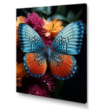Butterfly Pearl Patterns And Plum - Butterfly Wall Art Prints