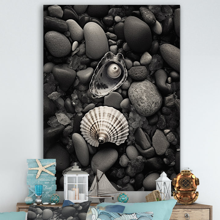Monochrome Seashells &amp; Stones - Gray Seashell Wall Art