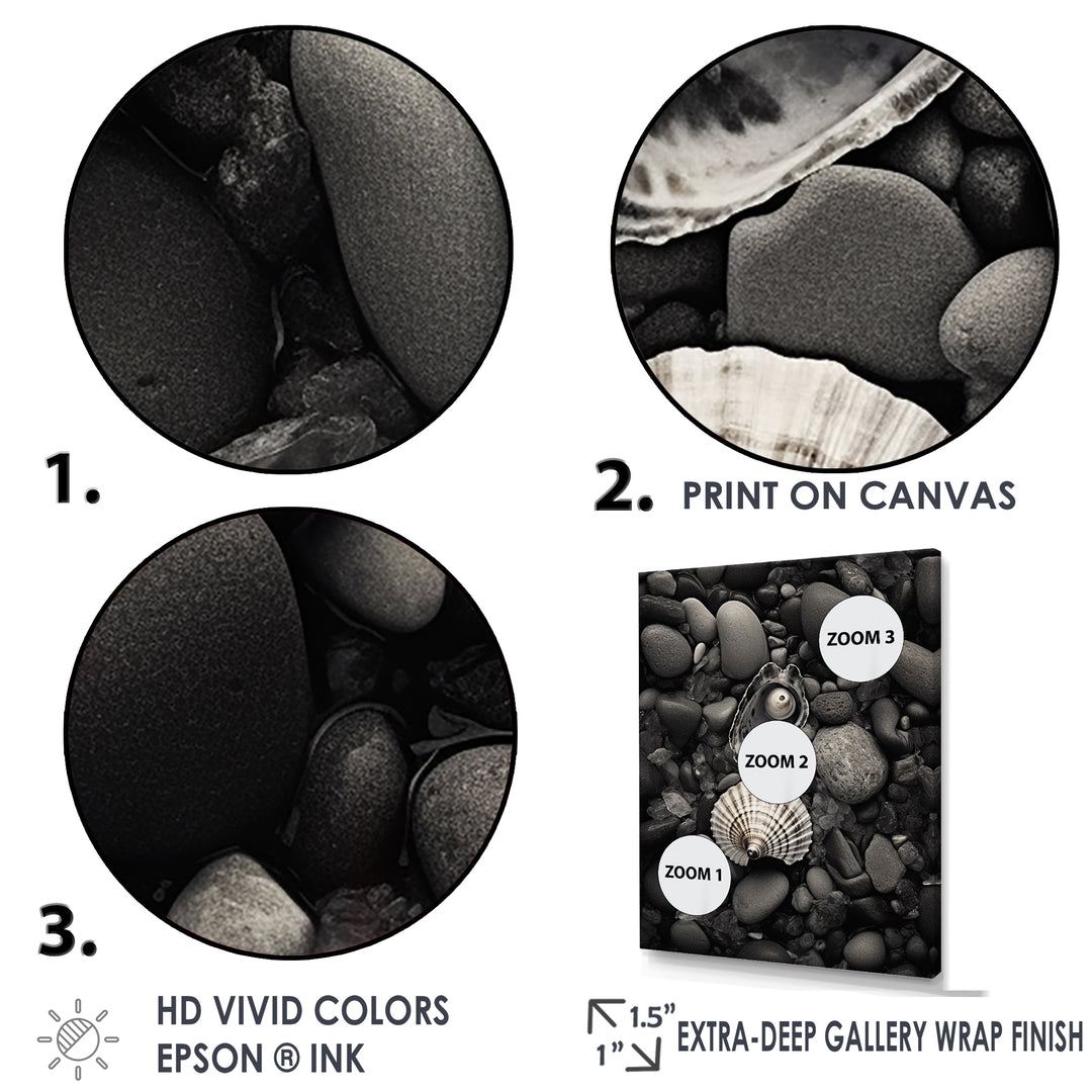 Monochrome Seashells &amp; Stones - Gray Seashell Wall Art