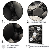 Monochrome Seashells & Stones - Gray Seashell Wall Art