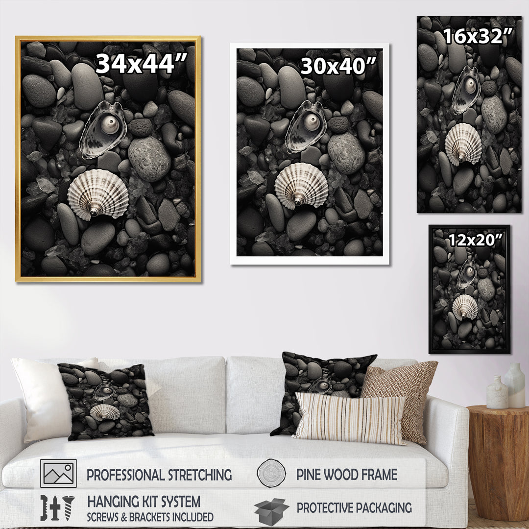 Monochrome Seashells &amp; Stones - Gray Seashell Wall Art