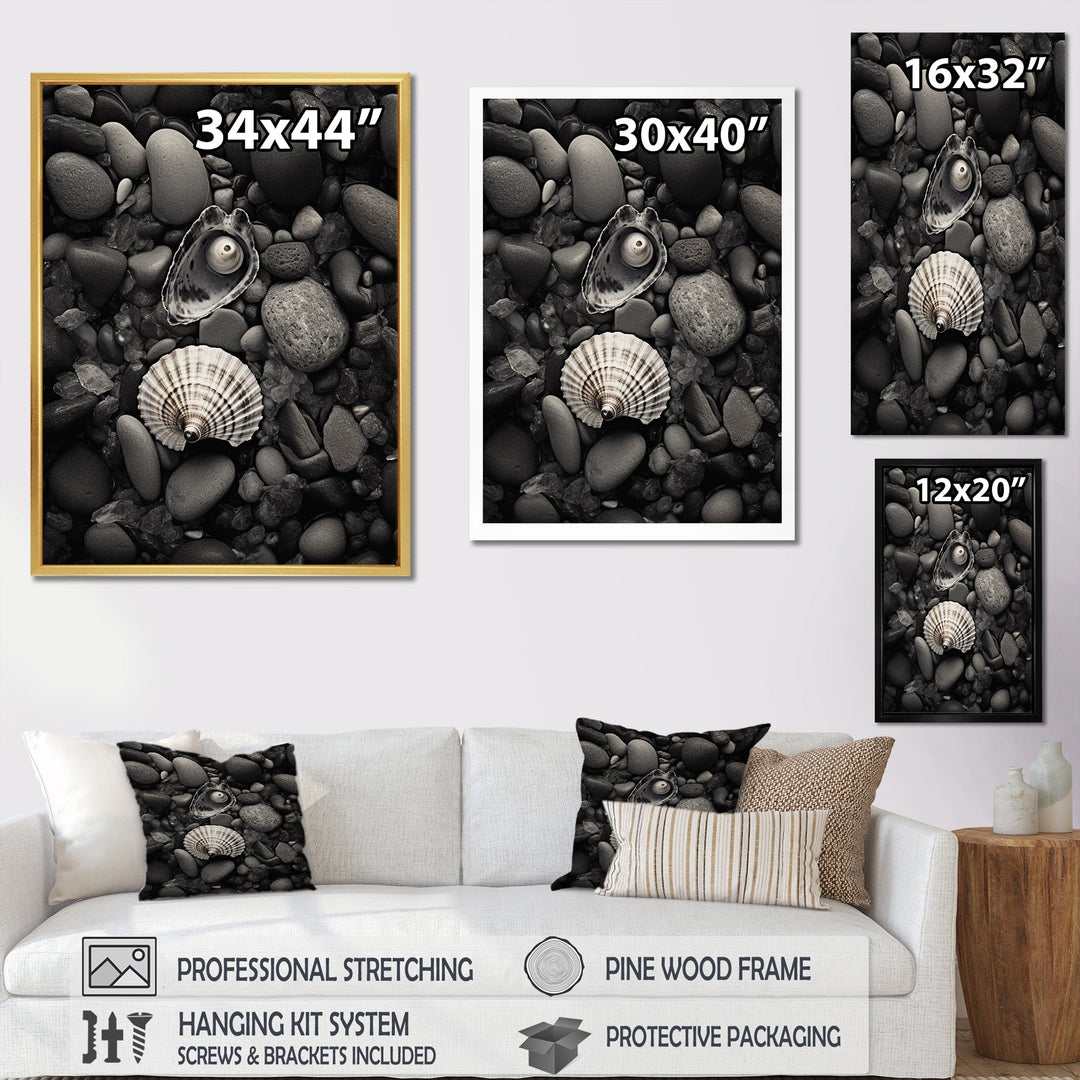 Monochrome Seashells &amp; Stones - Gray Seashell Wall Art
