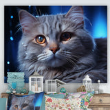 Blue British Shorthair Majesty Cat - Cat Framed Canvas Art