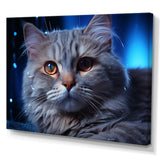 Blue British Shorthair Majesty Cat - Cat Framed Canvas Art