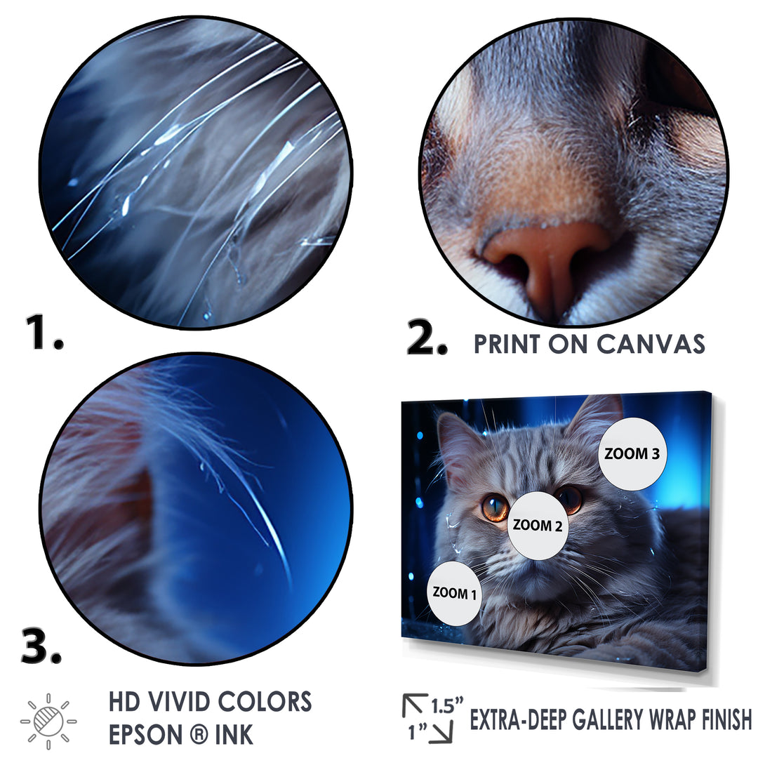 Blue British Shorthair Majesty Cat - Cat Framed Canvas Art