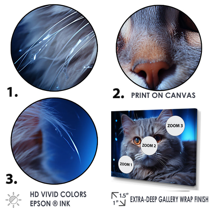 Blue British Shorthair Majesty Cat - Cat Framed Canvas Art