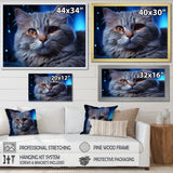 Blue British Shorthair Majesty Cat - Cat Framed Canvas Art
