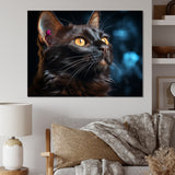 Burmese Beauty Black Cat - Cat Large Canvas Wall Art