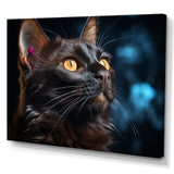 Burmese Beauty Black Cat - Cat Large Canvas Wall Art