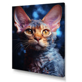 Devon Rex Dream Cat - Cat Wall Decor