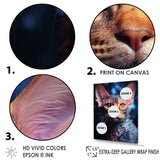 Devon Rex Dream Cat - Cat Wall Decor