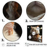 Elegance Cat Dressed In Suit - Beige Cat Wall Art
