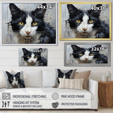 Minimalism Black And White Cat Portrait - Cat Canvas Wall Art