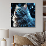 Nebelung Cat Nightfall Portrait - Cat Wall Art Prints