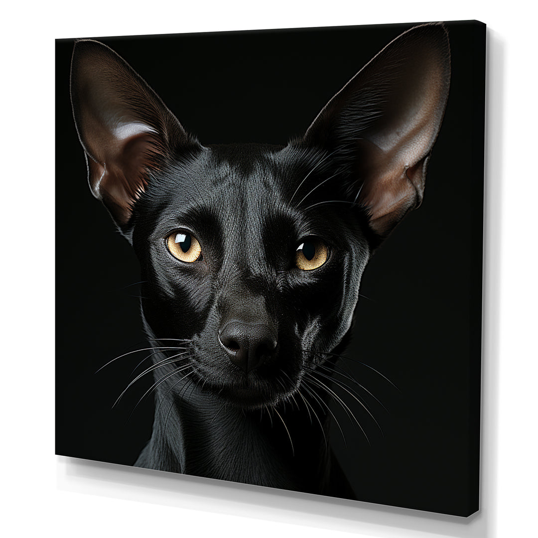 Oriental Elegance Black Cat Portrait - Black Cat Wall Art