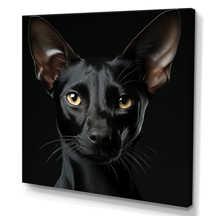 Oriental Elegance Black Cat Portrait - Black Cat Wall Art