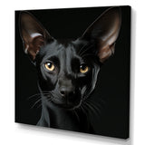 Oriental Elegance Black Cat Portrait - Black Cat Wall Art
