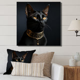 Oriental Opulence Cat Portrait - Cat Framed Canvas Art