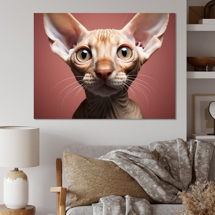 Peterbald Playfulness Cat Portrait - Cat Bedroom Wall Art