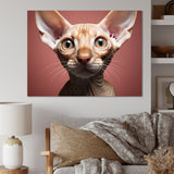 Peterbald Playfulness Cat Portrait - Cat Bedroom Wall Art