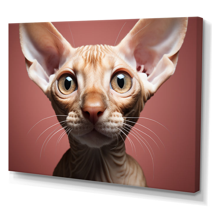 Peterbald Playfulness Cat Portrait - Cat Bedroom Wall Art