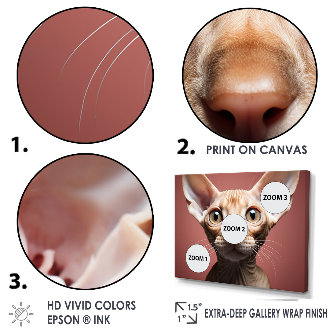 Peterbald Playfulness Cat Portrait - Cat Bedroom Wall Art