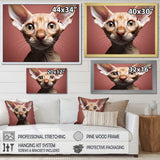 Peterbald Playfulness Cat Portrait - Cat Bedroom Wall Art