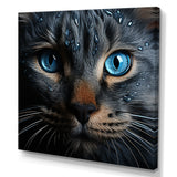 Cat Blue Eye Reflection - Blue Cat Wall Art