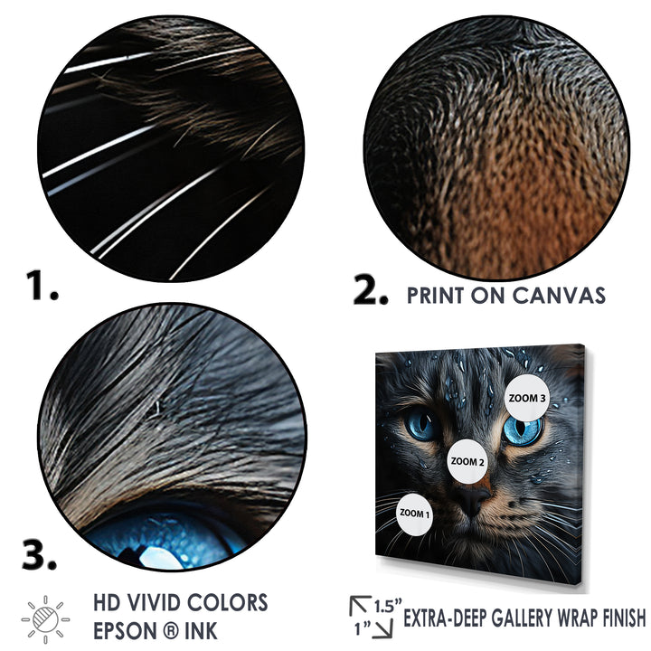 Cat Blue Eye Reflection - Blue Cat Wall Art