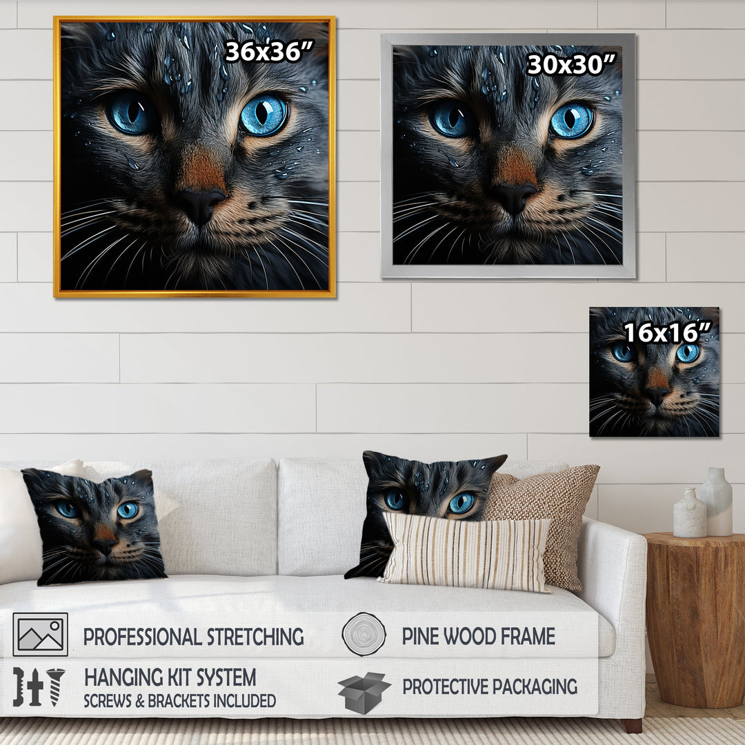 Cat Blue Eye Reflection - Blue Cat Wall Art
