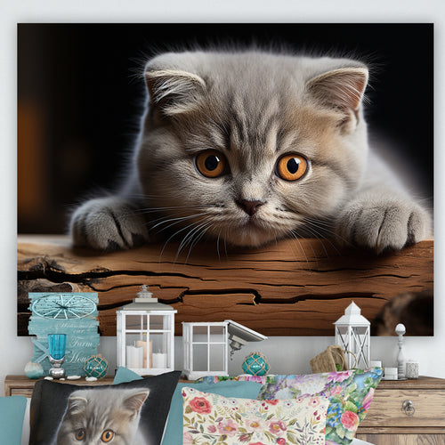 Cute Scottish Cat Fold Serenity - Cat Home Decor Art
