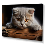 Cute Scottish Cat Fold Serenity - Cat Home Decor Art