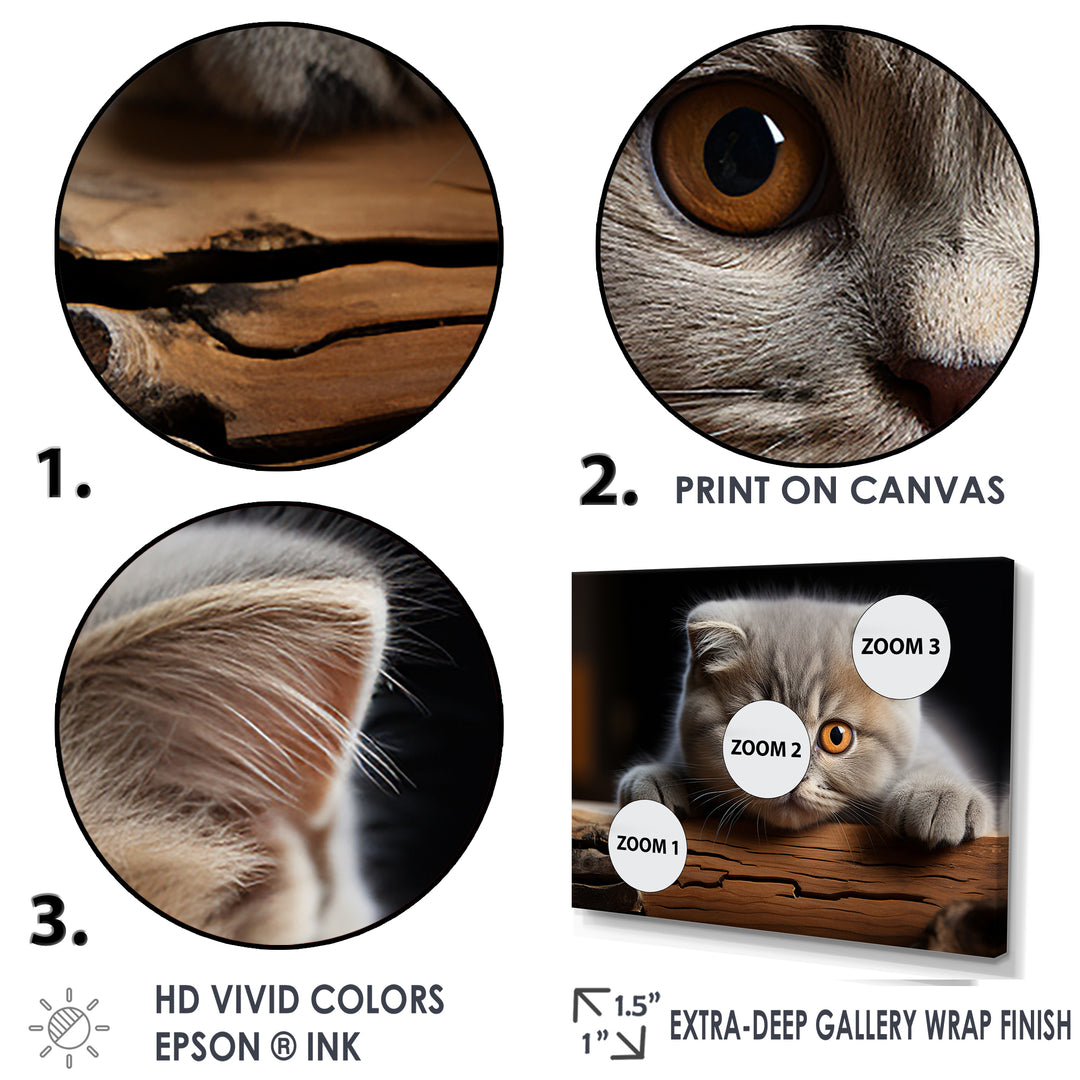 Cute Scottish Cat Fold Serenity - Cat Home Decor Art