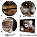 Cute Scottish Cat Fold Serenity - Cat Home Decor Art