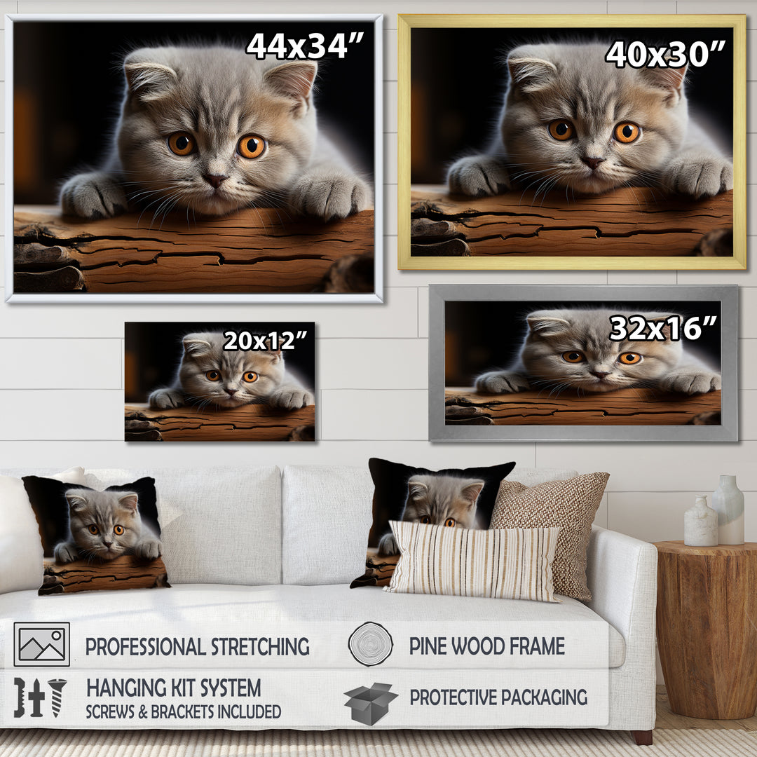 Cute Scottish Cat Fold Serenity - Cat Home Decor Art