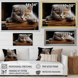 Cute Scottish Cat Fold Serenity - Cat Home Decor Art