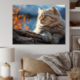 Cat Scottish Fold Serenity - Cat Living Room Wall Art