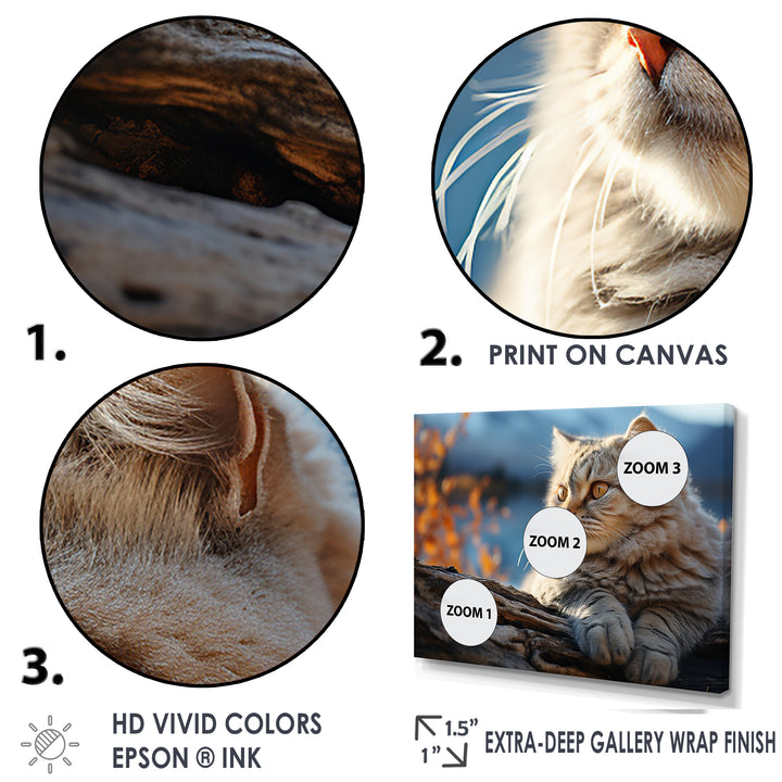 Cat Scottish Fold Serenity - Cat Living Room Wall Art